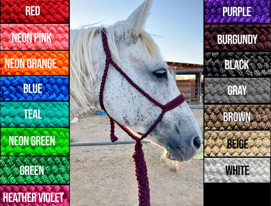 Mule Tape Halters with 8ft Lead Line - Assorted colors - All Sizes