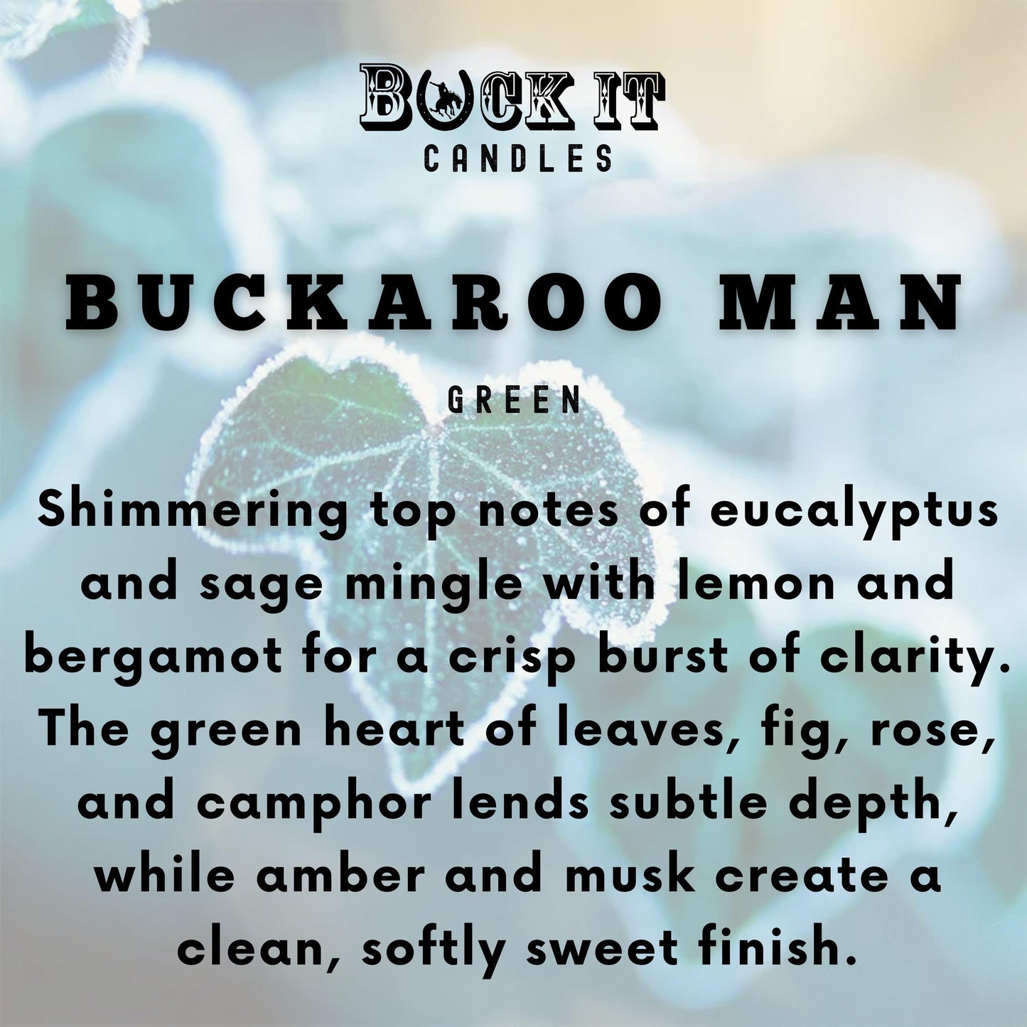 Buckaroo Man (Arctic Ivy Scent): Western Candles, Rustic Candles, Hand-Poured in Arizona, Coconut Apricot Soy Wax