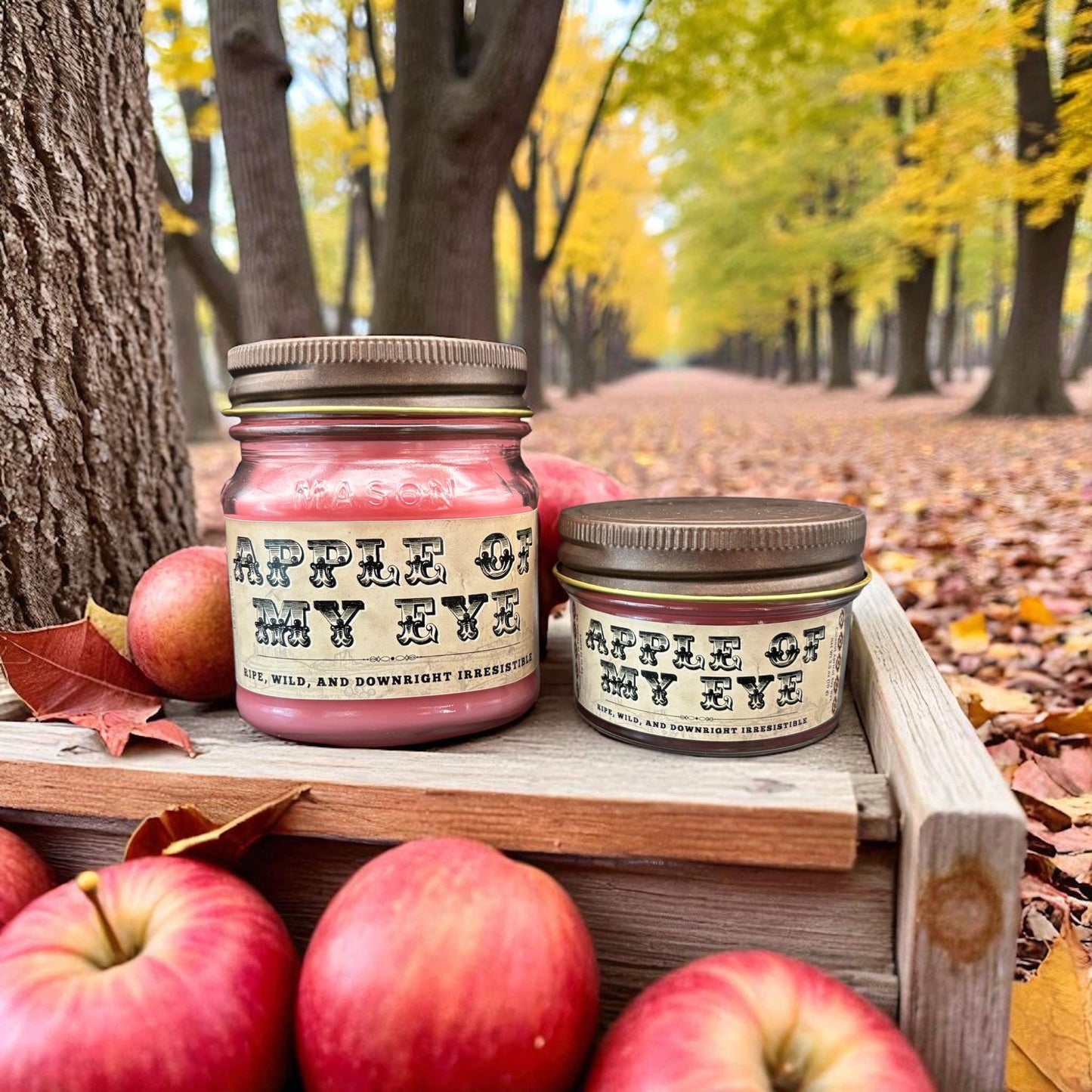Apple Of My Eye (Apple Harvest Scent): Western Candles, Rustic Candles, Hand-Poured in Arizona, Coconut Apricot Soy Wax