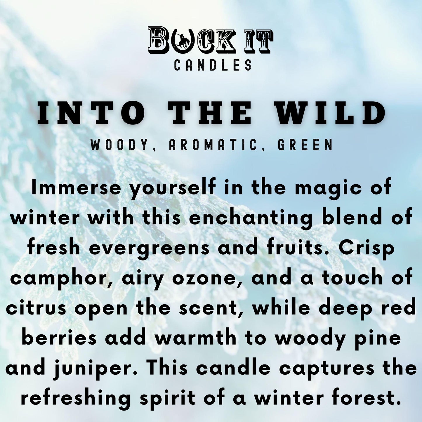Into The Wild (Frosted Juniper Scent): Western Candles, Rustic Candles, Hand-Poured in Arizona, Coconut Apricot Soy Wax